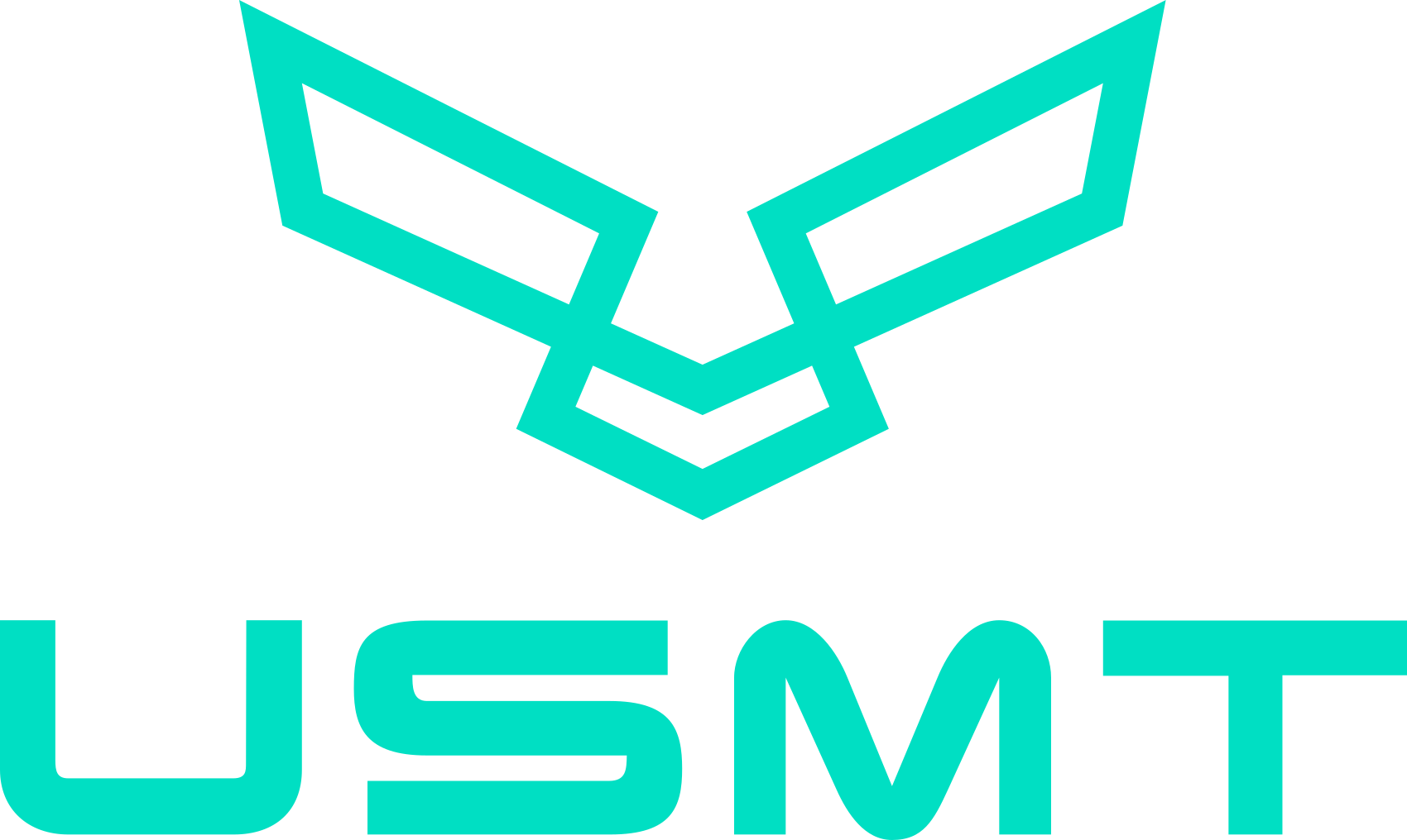 USMT Logo